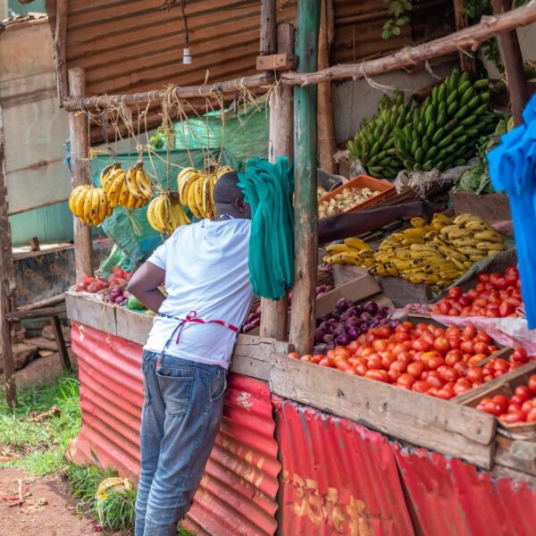 DSC_2012 (1) DSC_2012 (1)