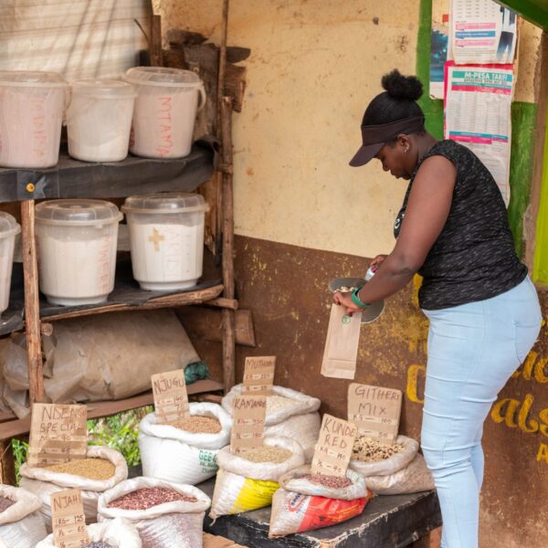 DSC_2223 (2) DSC_2223 (2)