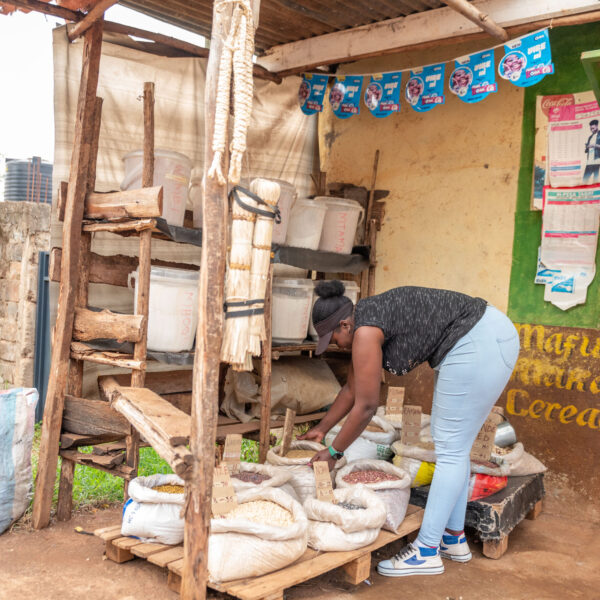 DSC_2236 (1) DSC_2236 (1)