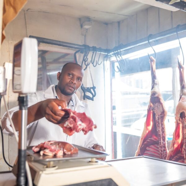 DSC_2331 (1) DSC_2331 (1)