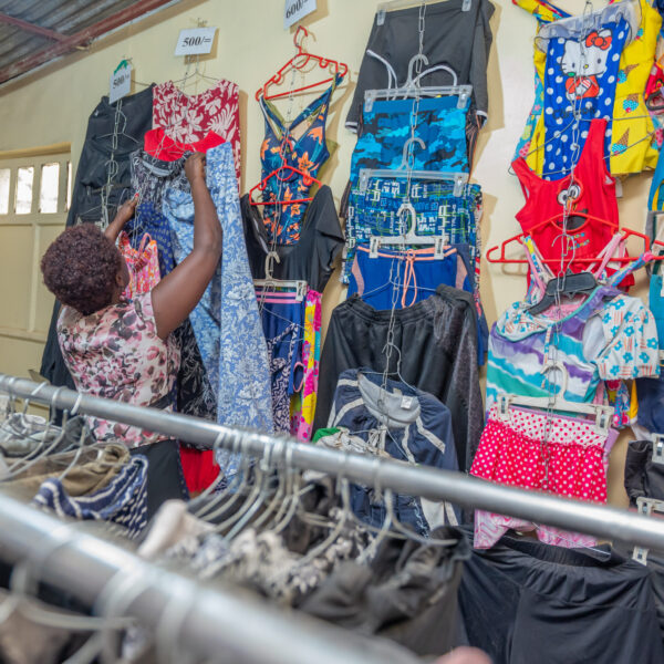 DSC_2388 (2) DSC_2388 (2)